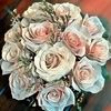 cottonwoodrose